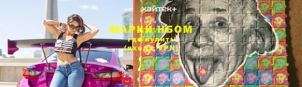 индика Абаза