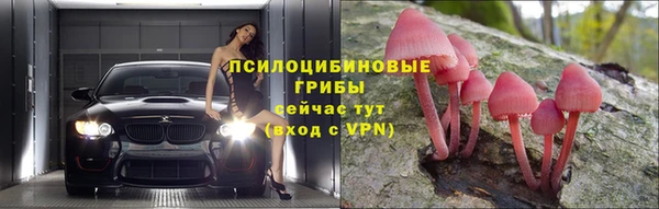 молекула духа Абинск