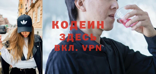 индика Абаза