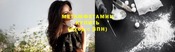 индика Абаза