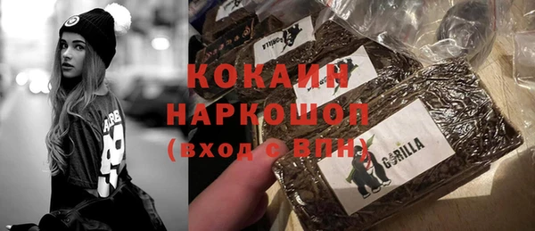 индика Абаза