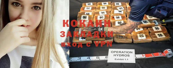 индика Абаза
