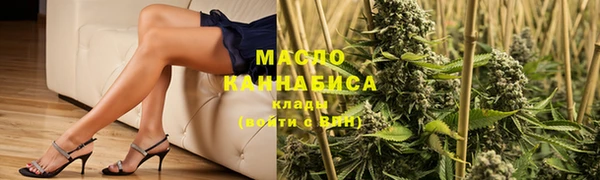 индика Абаза