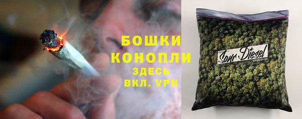 молекула духа Абинск