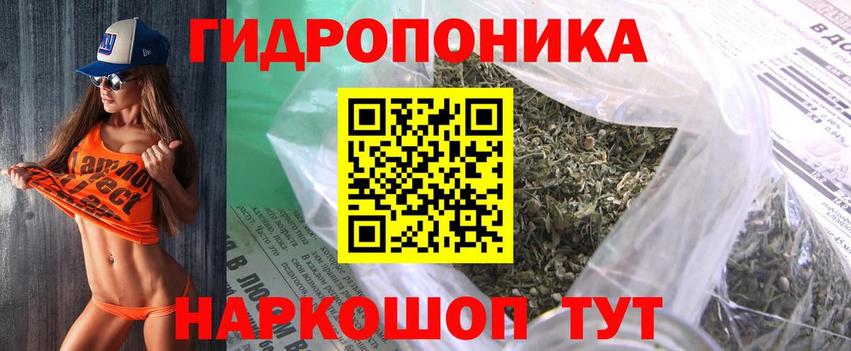 Бошки марихуана семена Урус-Мартан